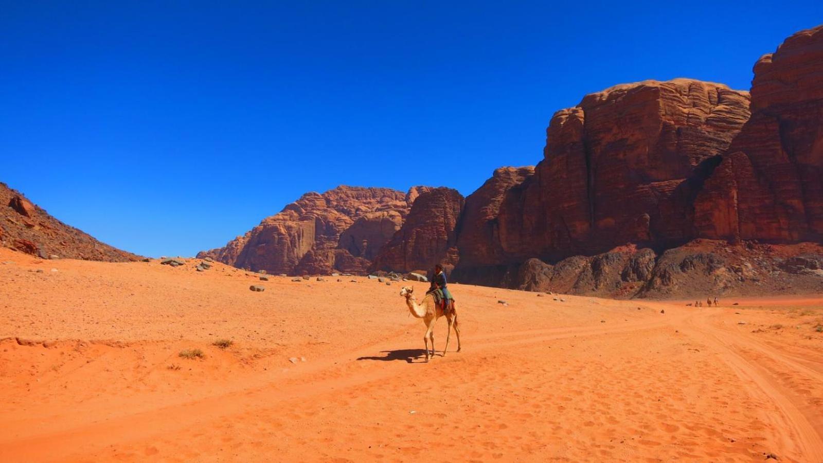 Wadi Rum Nabatean Camp Esterno foto
