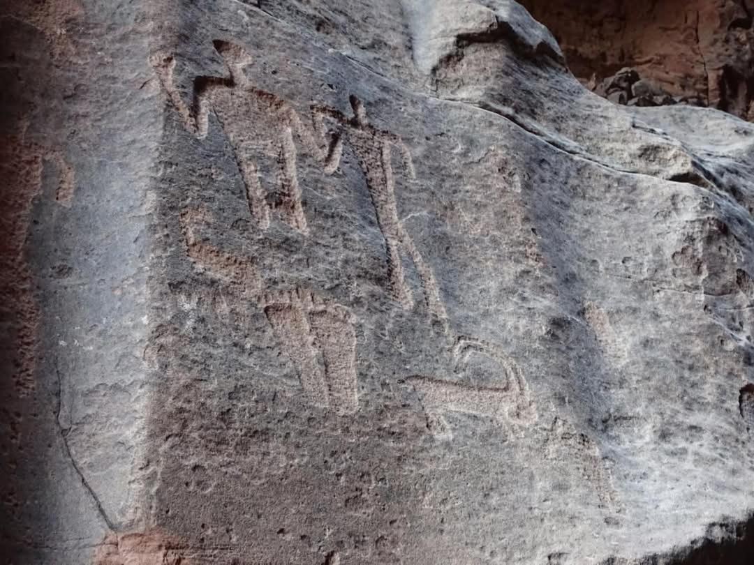Wadi Rum Nabatean Camp Esterno foto